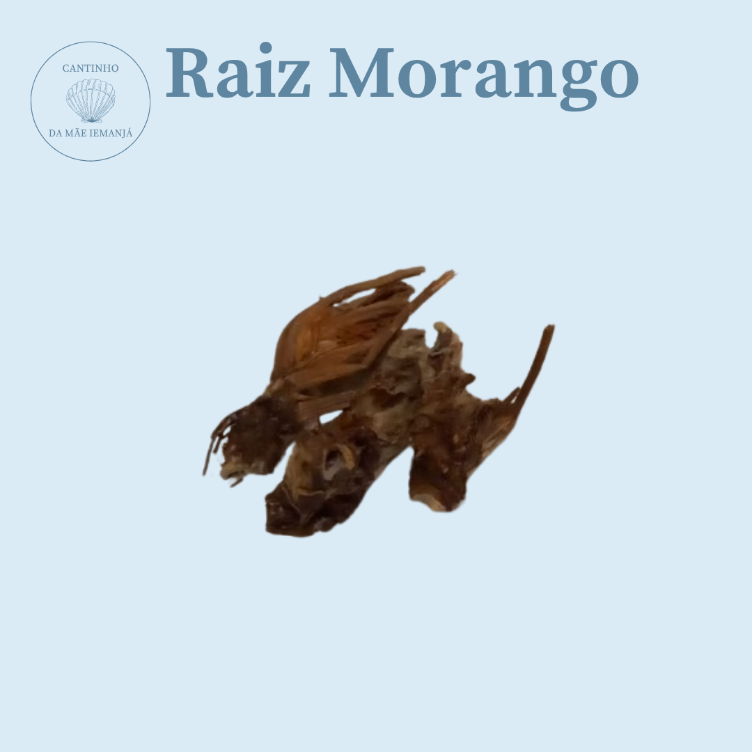 Raiz Morango